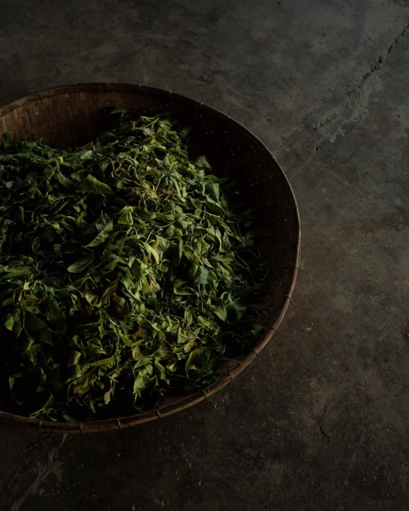 คำถามที่พบบ่อย