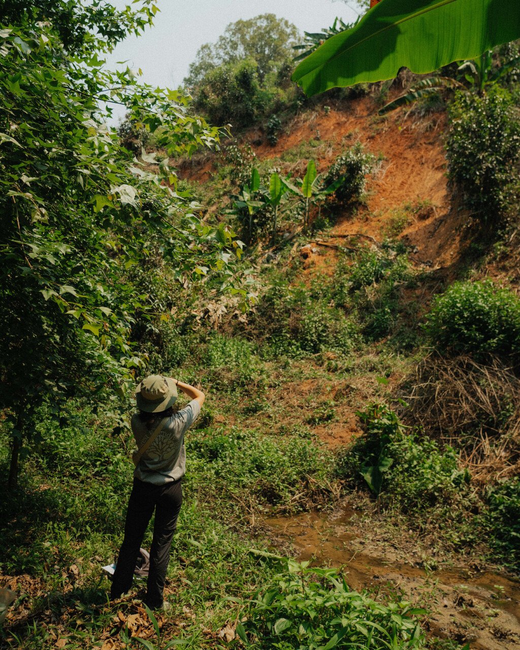 Recently we had the honour of hosting university students from ISTOM in France, joining the team in Chiang Mai to support important work. We asked them to share their experience here: