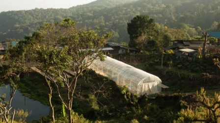 Reopening a tea factory