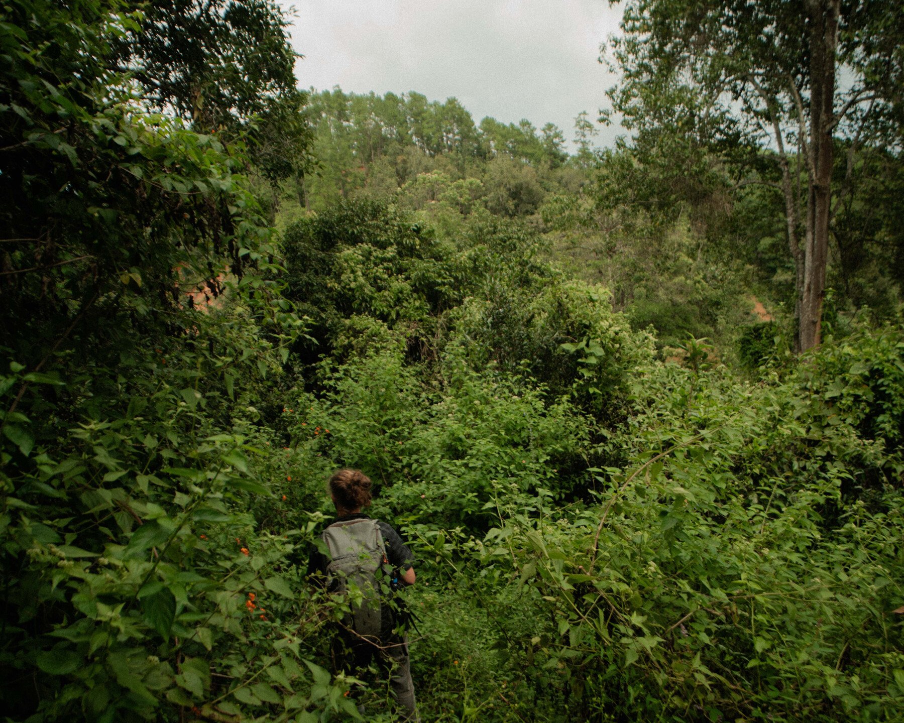 メー・セー（Mae Sae）