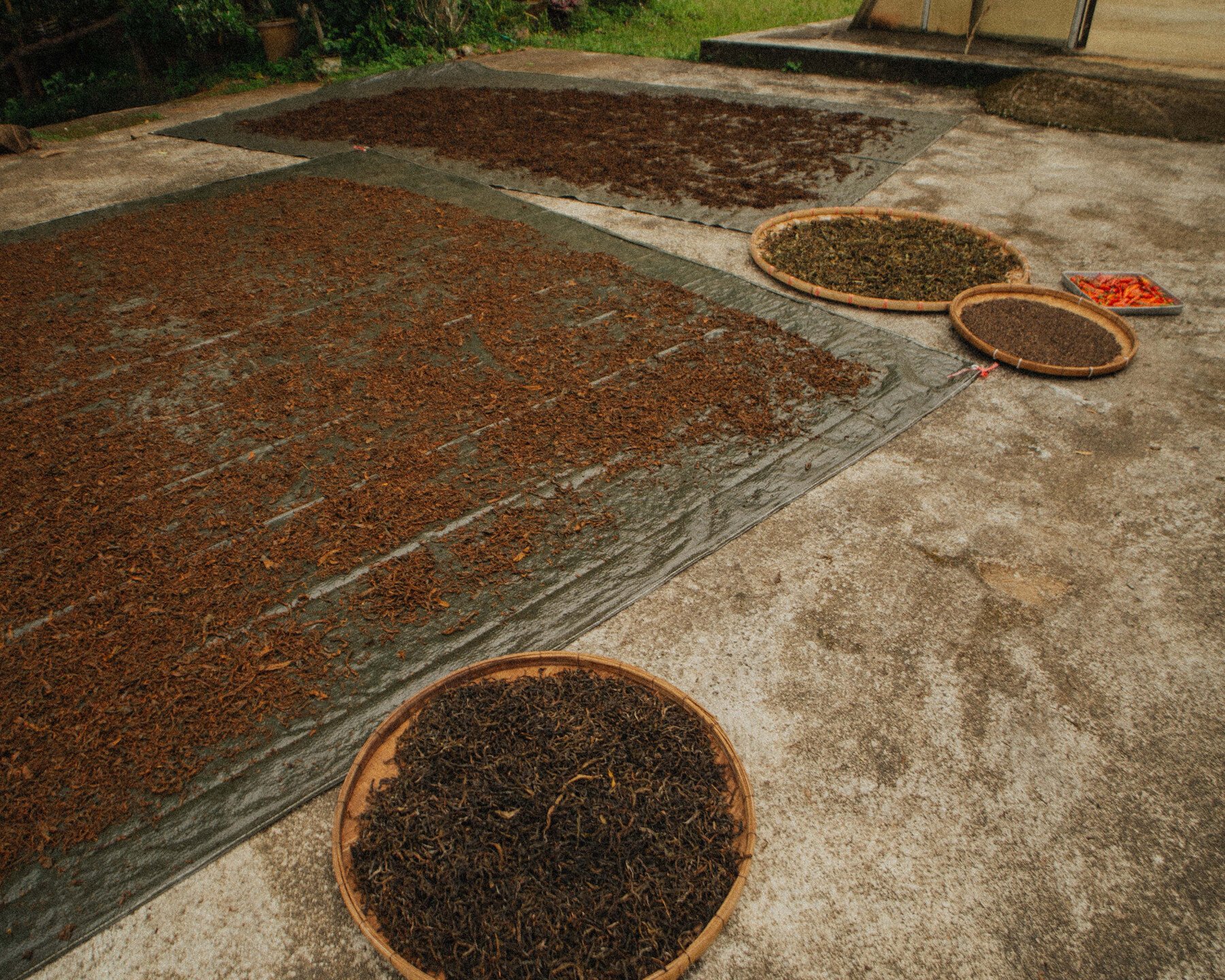 メー・セー（Mae Sae）