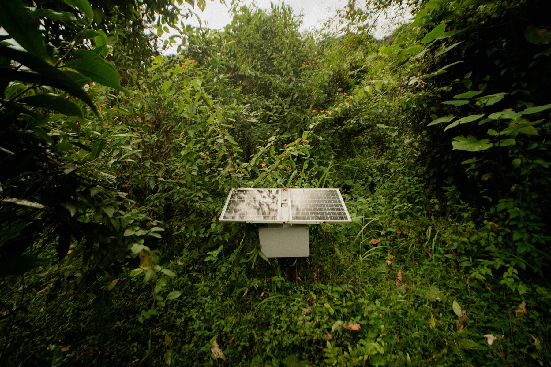 メー・セー（Mae Sae）