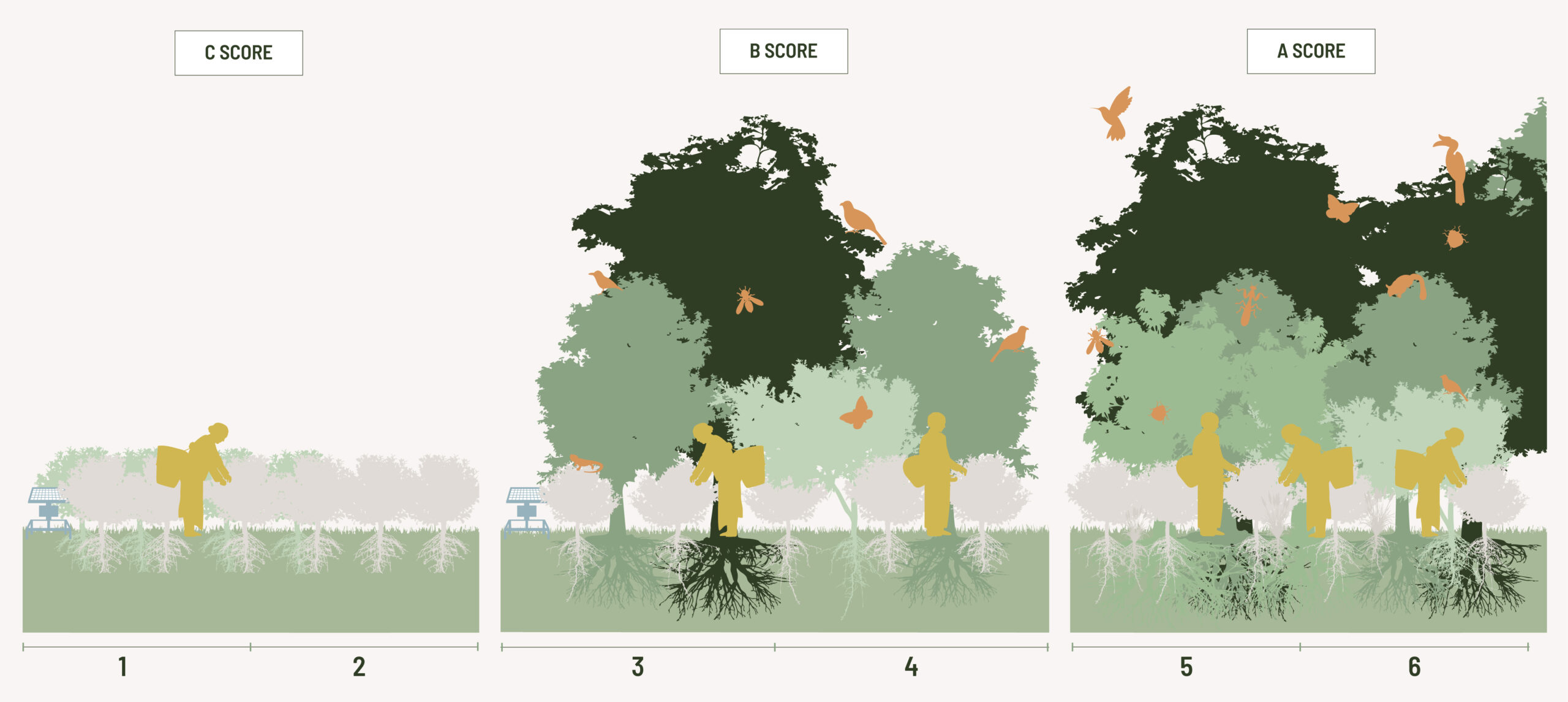 Ecosystem Impact