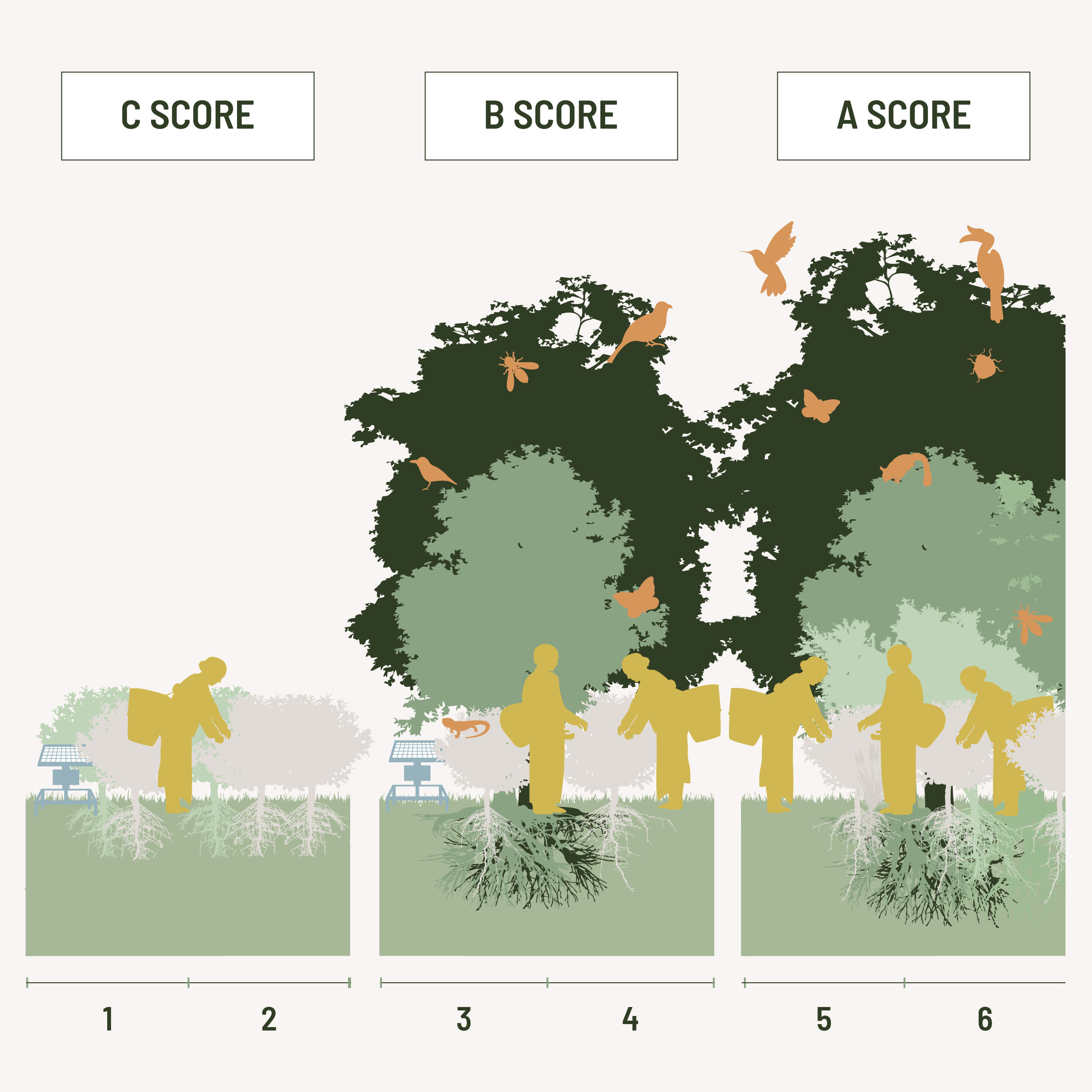Ecosystem Impact