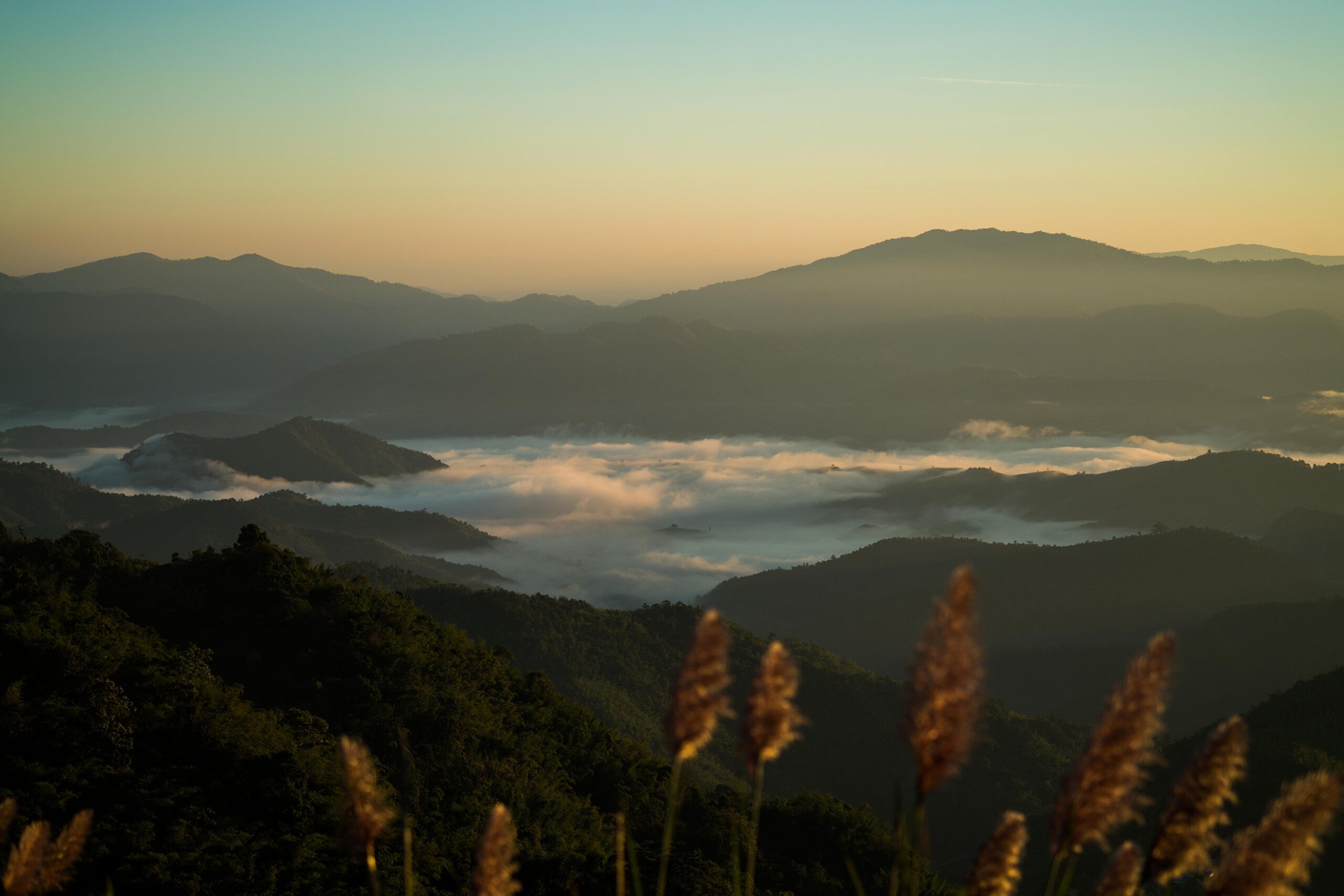 Doi Wawee