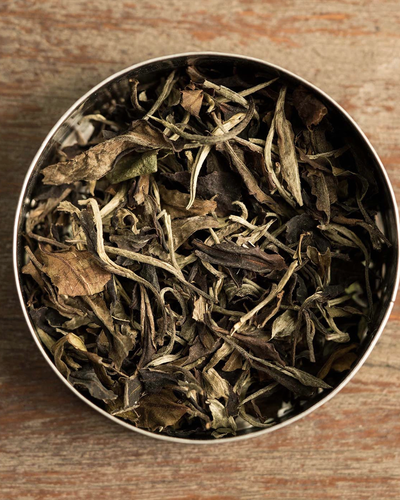 dhara white gallery 1