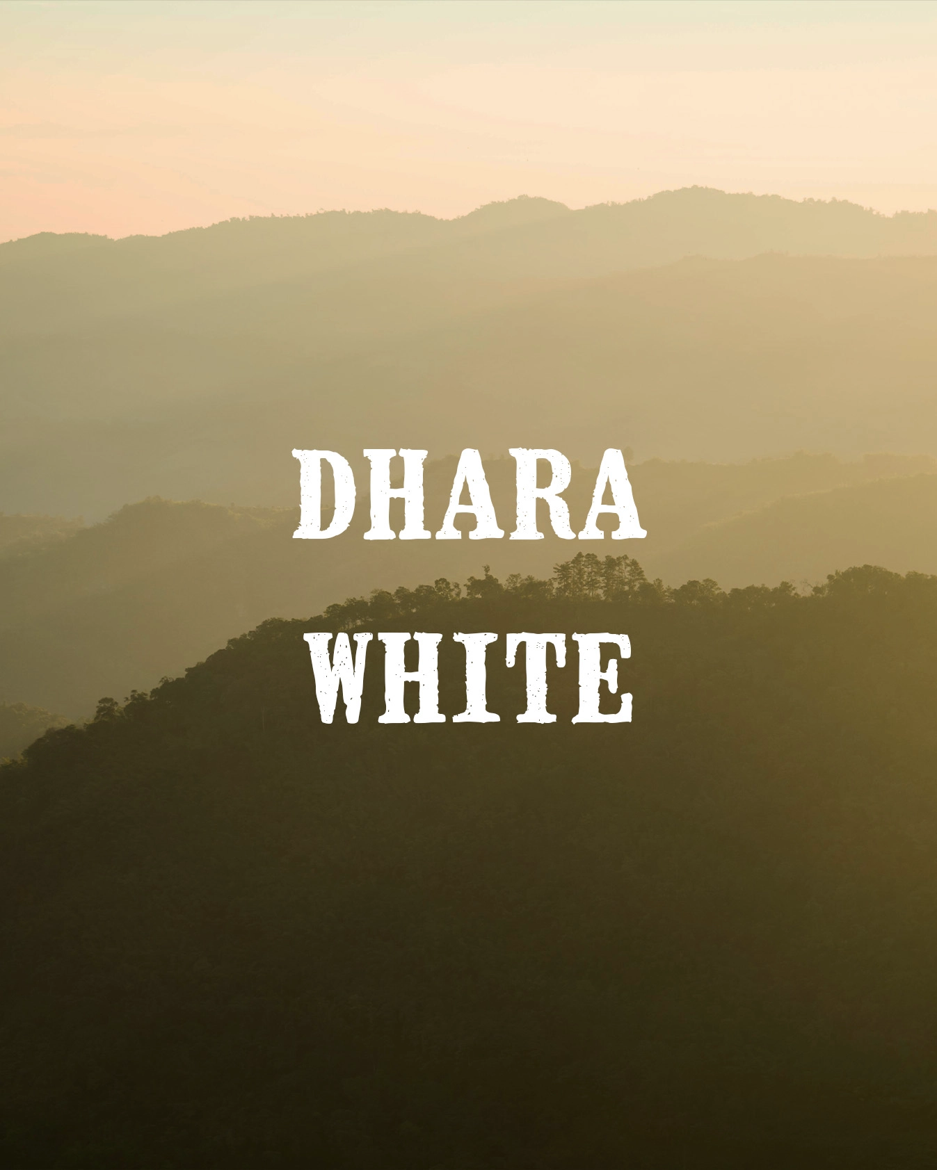 dhara white gallery 2
