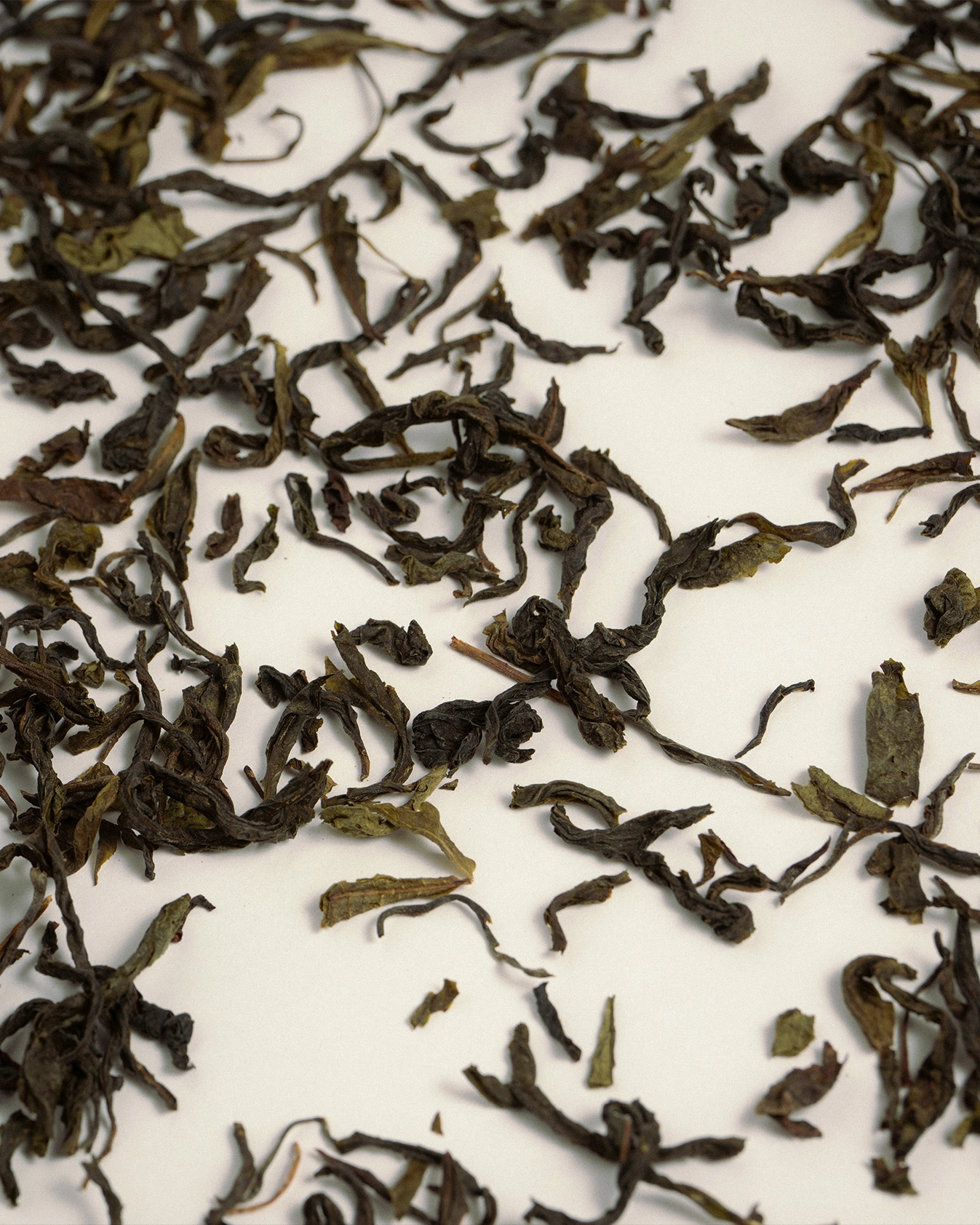 lanna green gallery 1