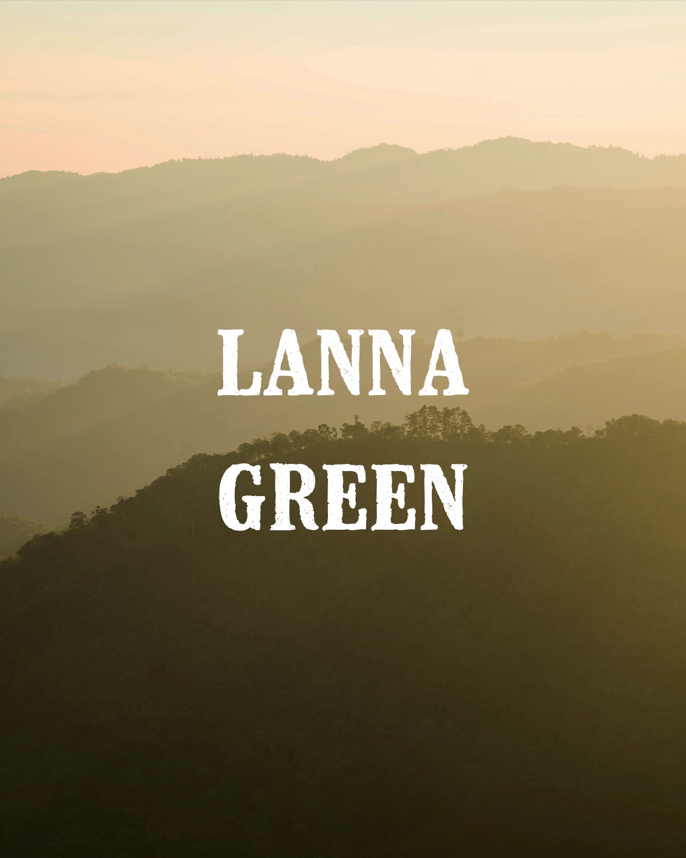 lanna green gallery 2
