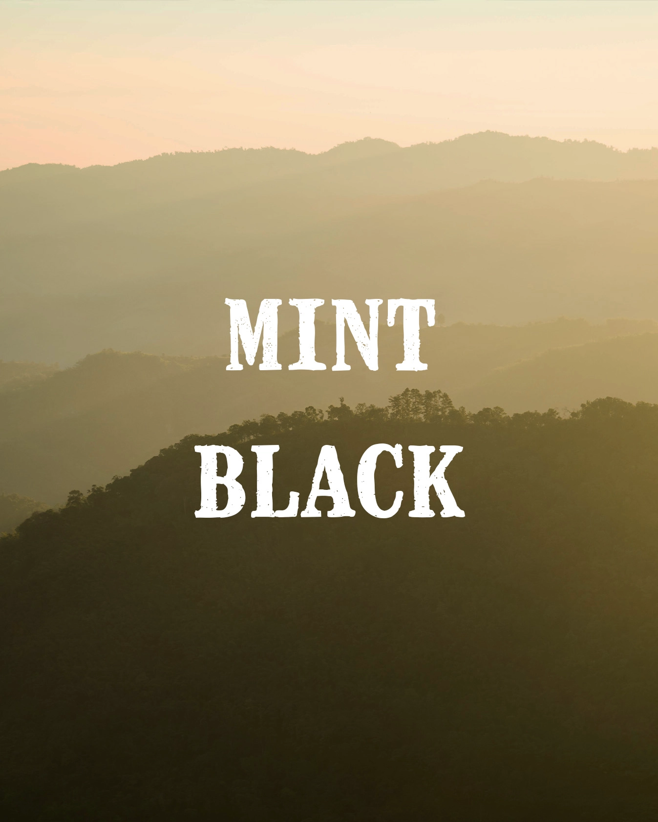 mint black gallery 1