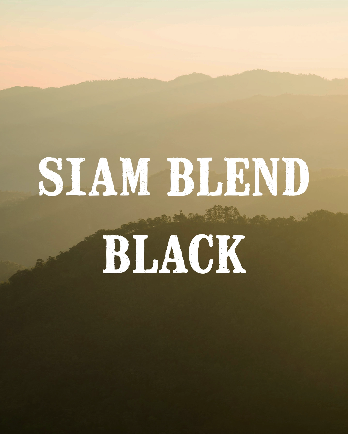 siam blend black gallery 2