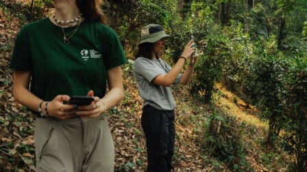 Interning with Monsoon Tea