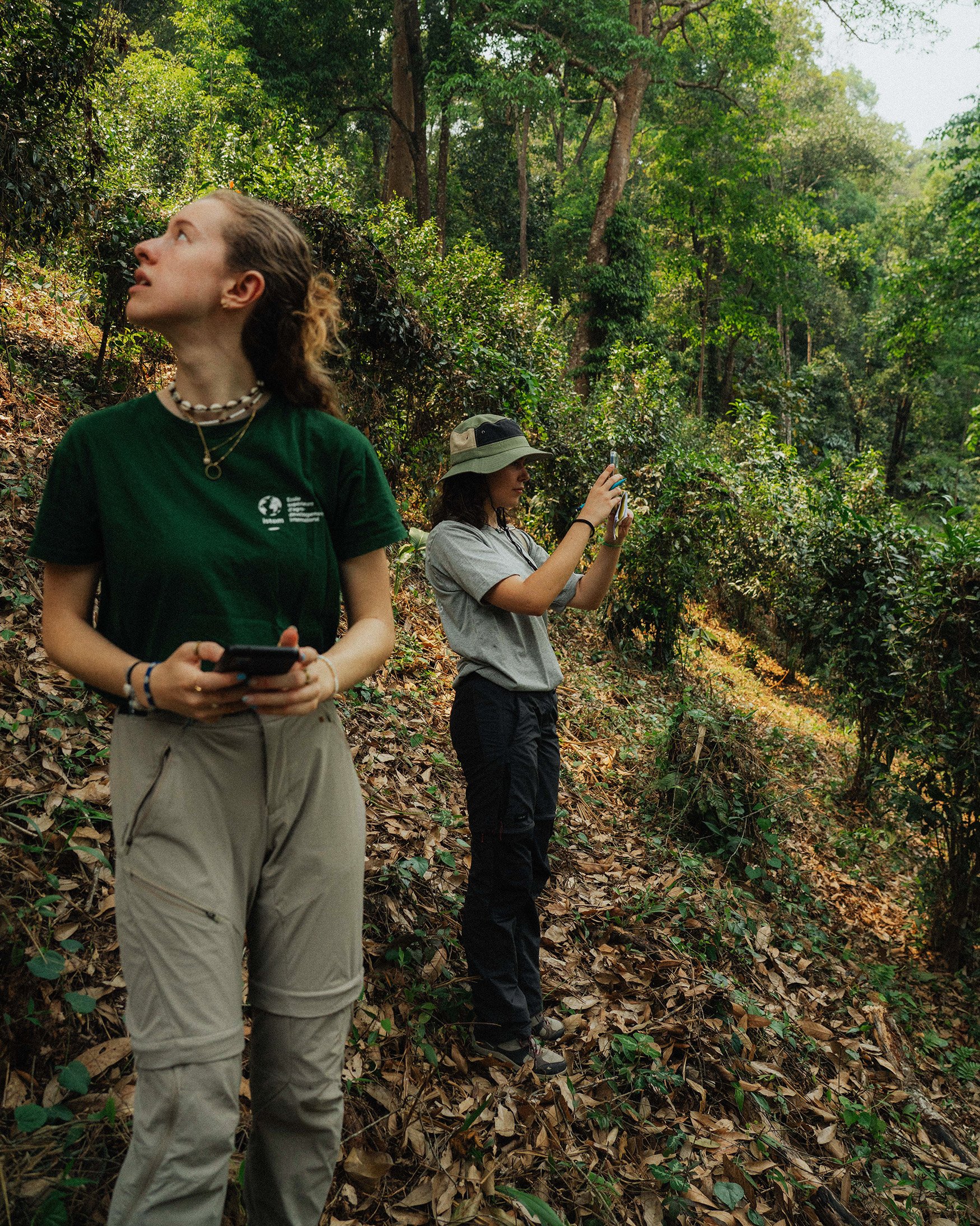 Interning with Monsoon Tea