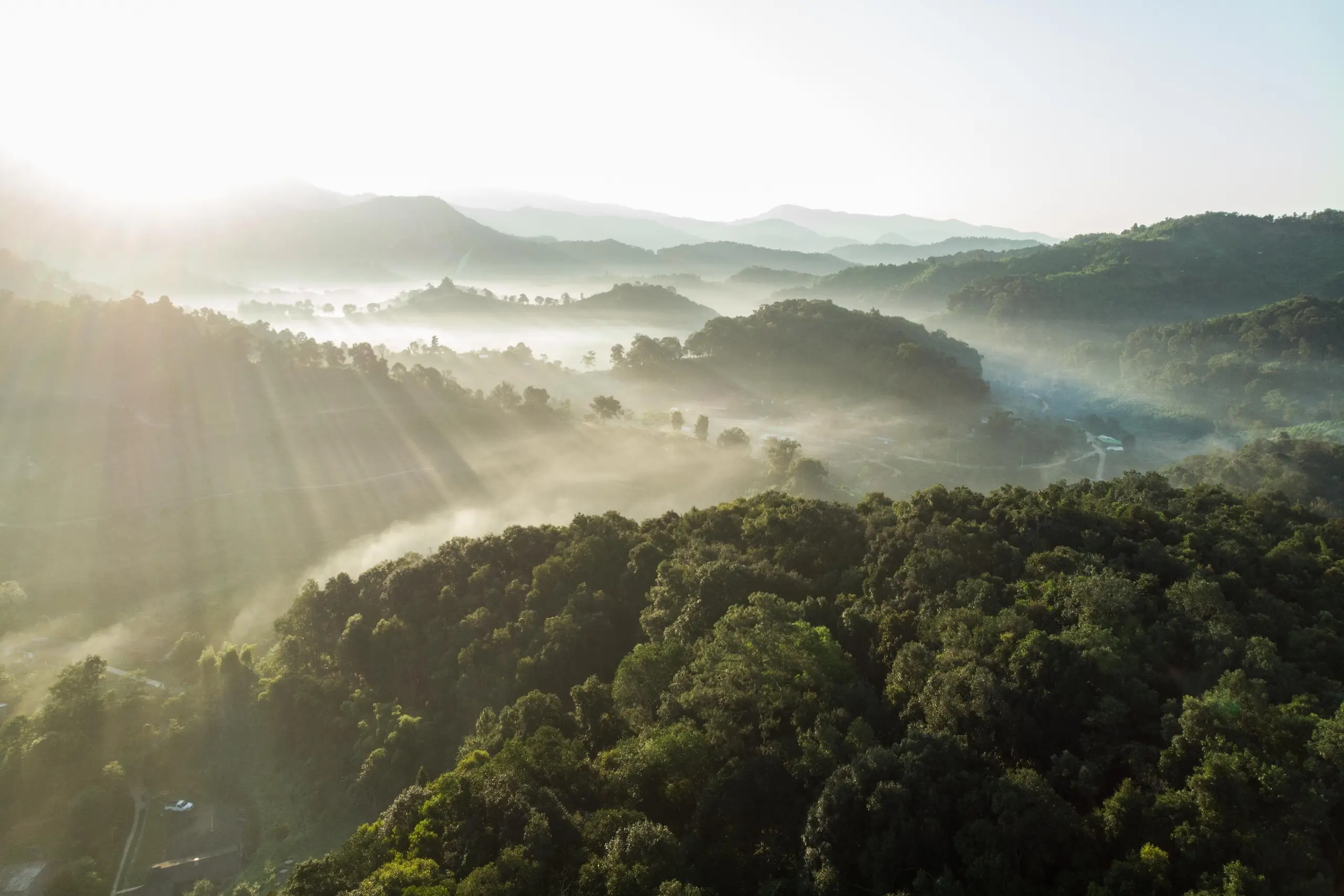 SUSTAINABLE TEA FROM THAILAND, GROWN IN HARMONY WITH NATURE
