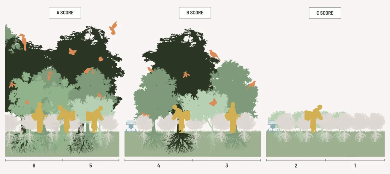 ผลกระทบที่ตรวจสอบได้