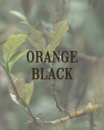 Orange Black